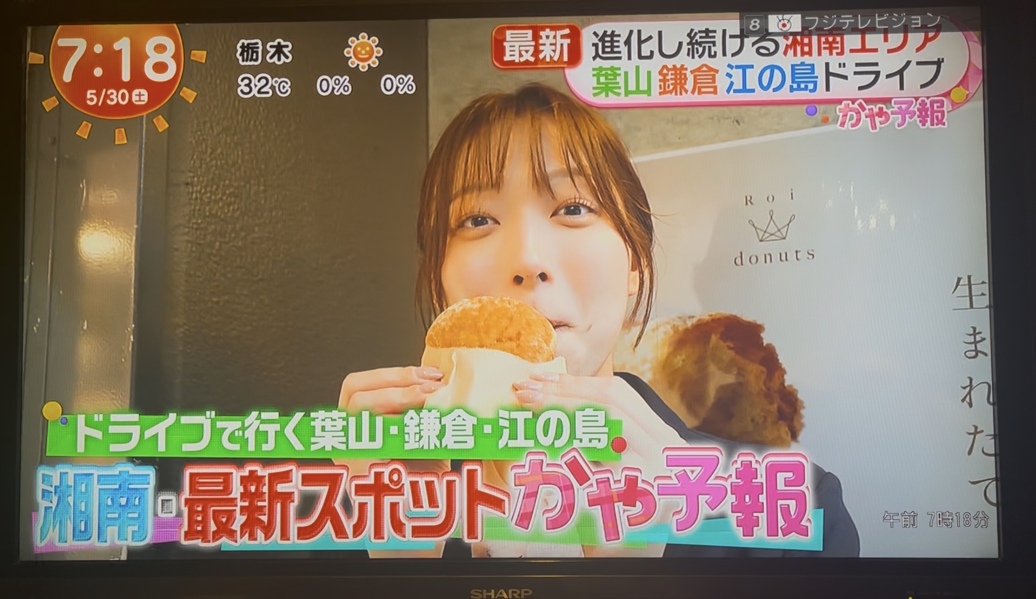 めざましどようび「かや予報」コーナー 湘南エリア特集